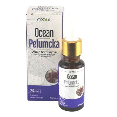 Ocean Pelumcka Oral Drops 20 ml (خلاصة جذور إبرة الراعي الأفريقي)